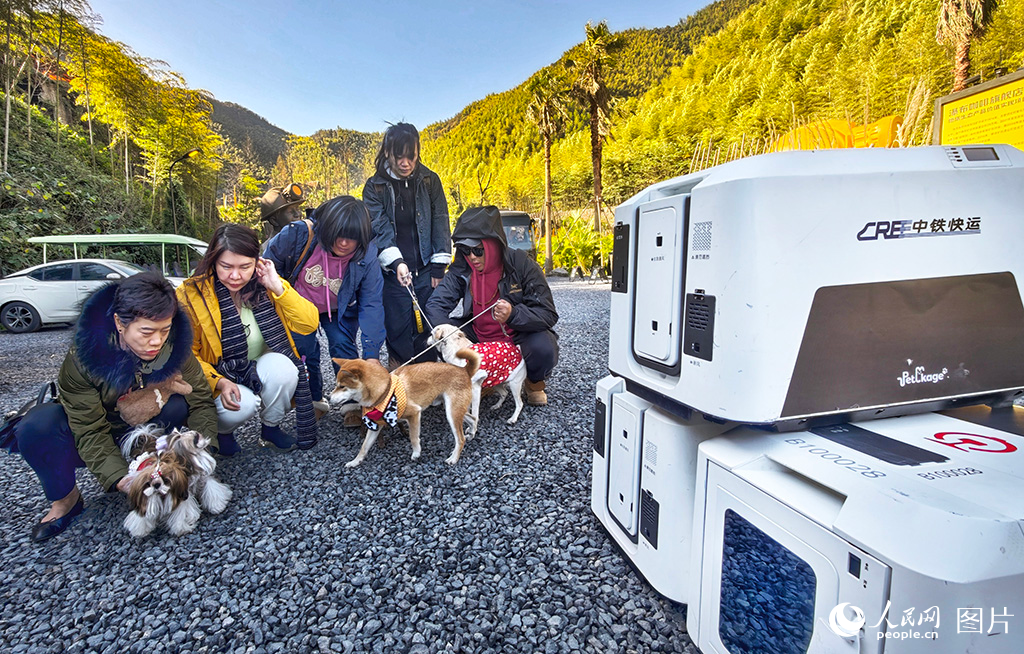 攜寵游客心情愉悅到達景區准備游玩。