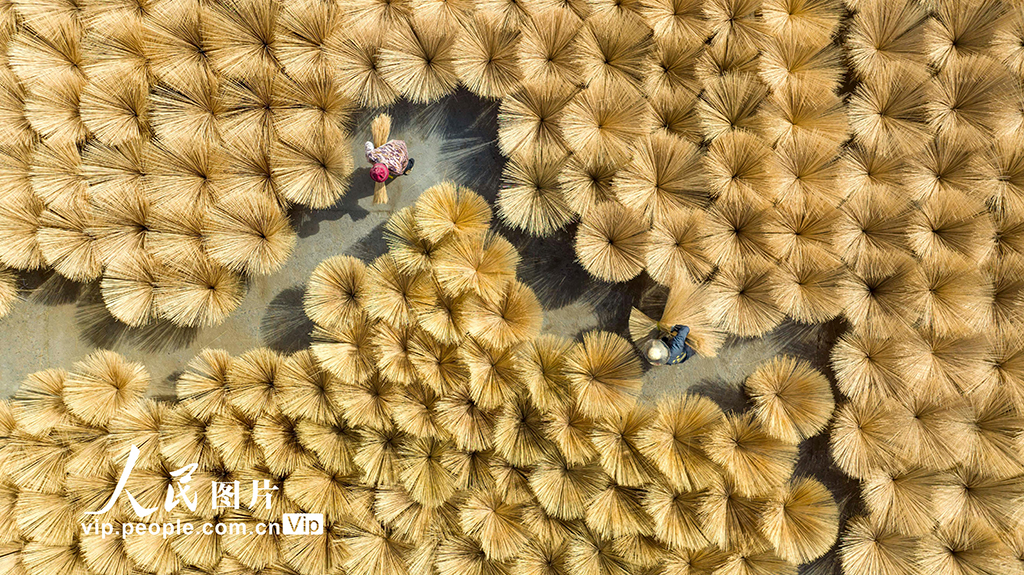 江西銅鼓:搶抓“以竹代塑”機遇 大力發展竹產業【5】