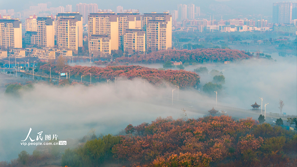 安徽淮北:冬日雲海【4】