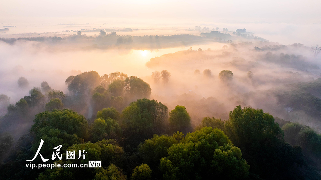 安徽淮北：冬日雲海【5】