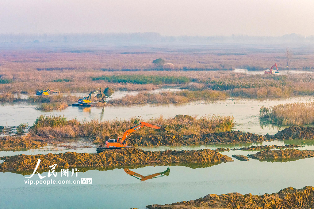江苏泗洪:修复洪泽湖湿地【5】