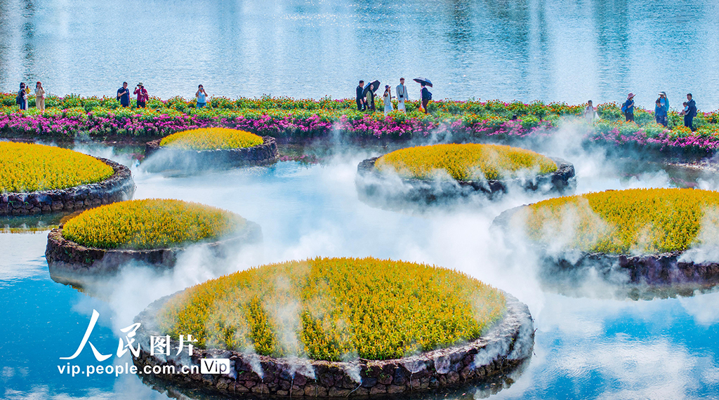 广西南宁：徜徉丘石花园【2】