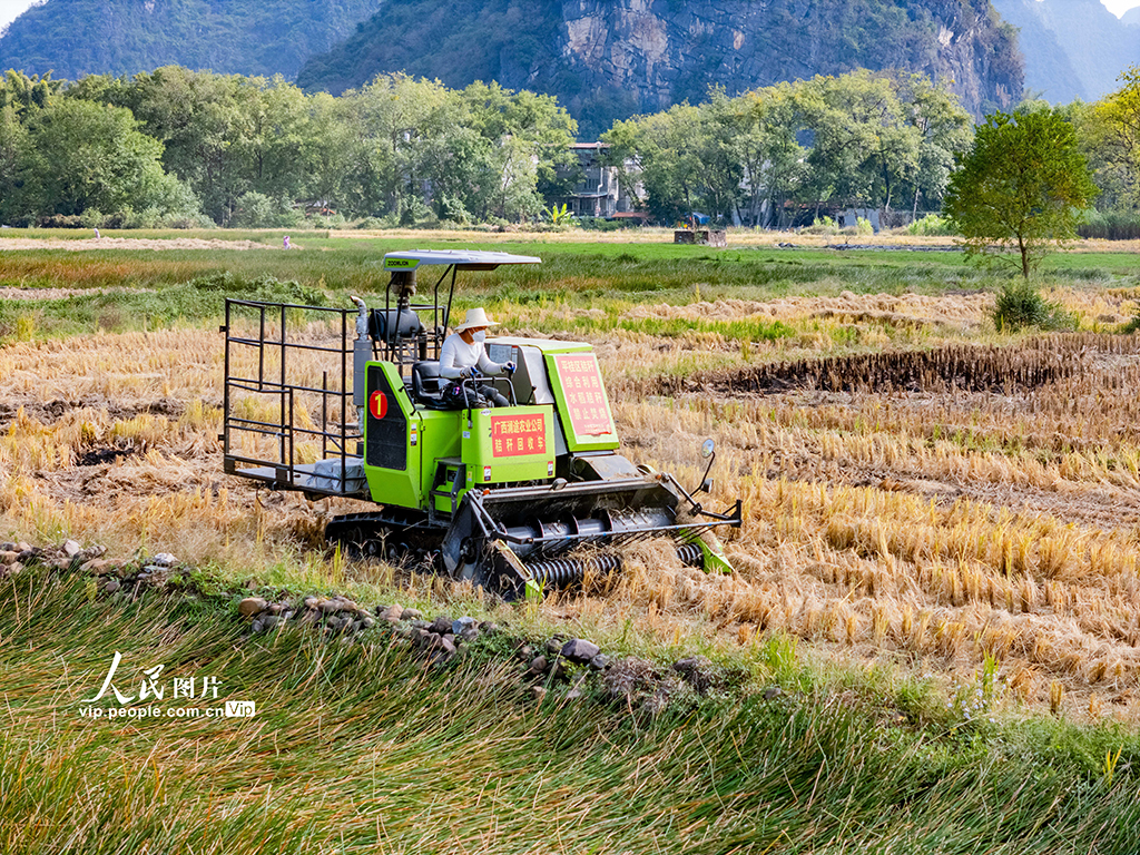 广西贺州：秸秆回收 变废为宝【3】