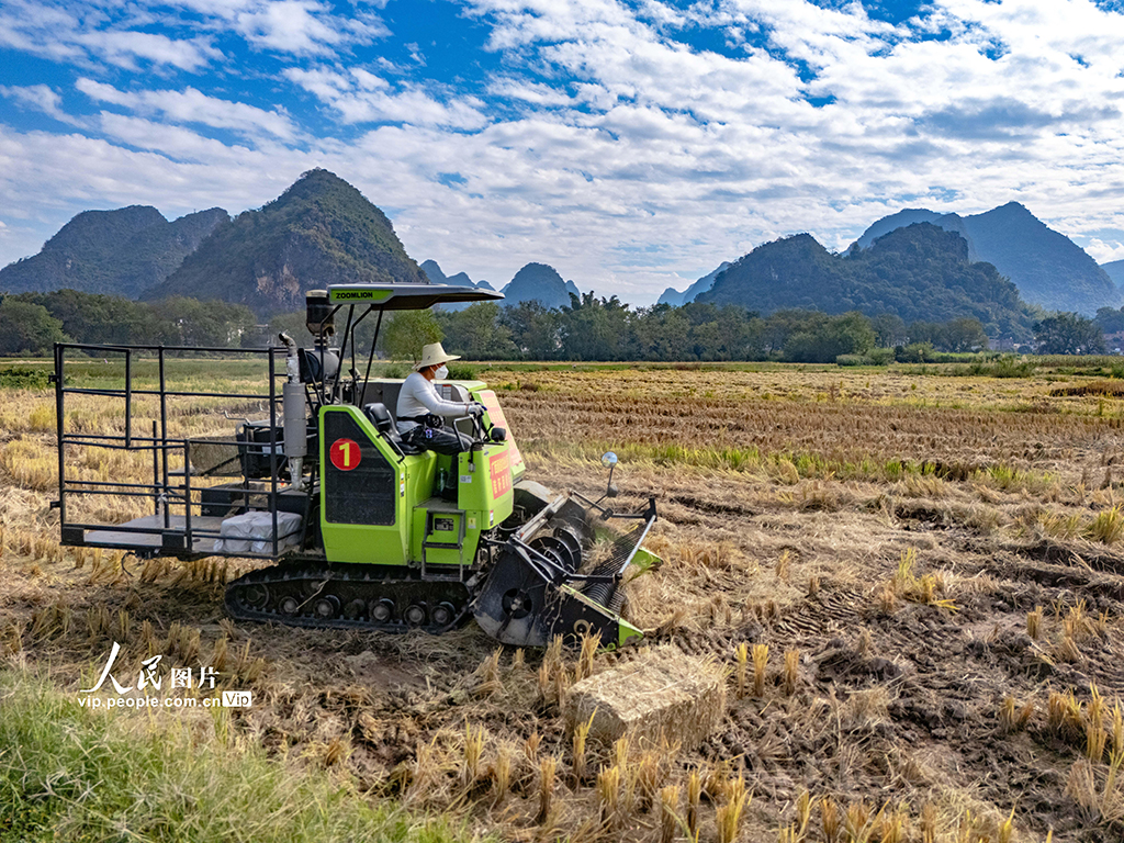广西贺州:秸秆回收 变废为宝【4】
