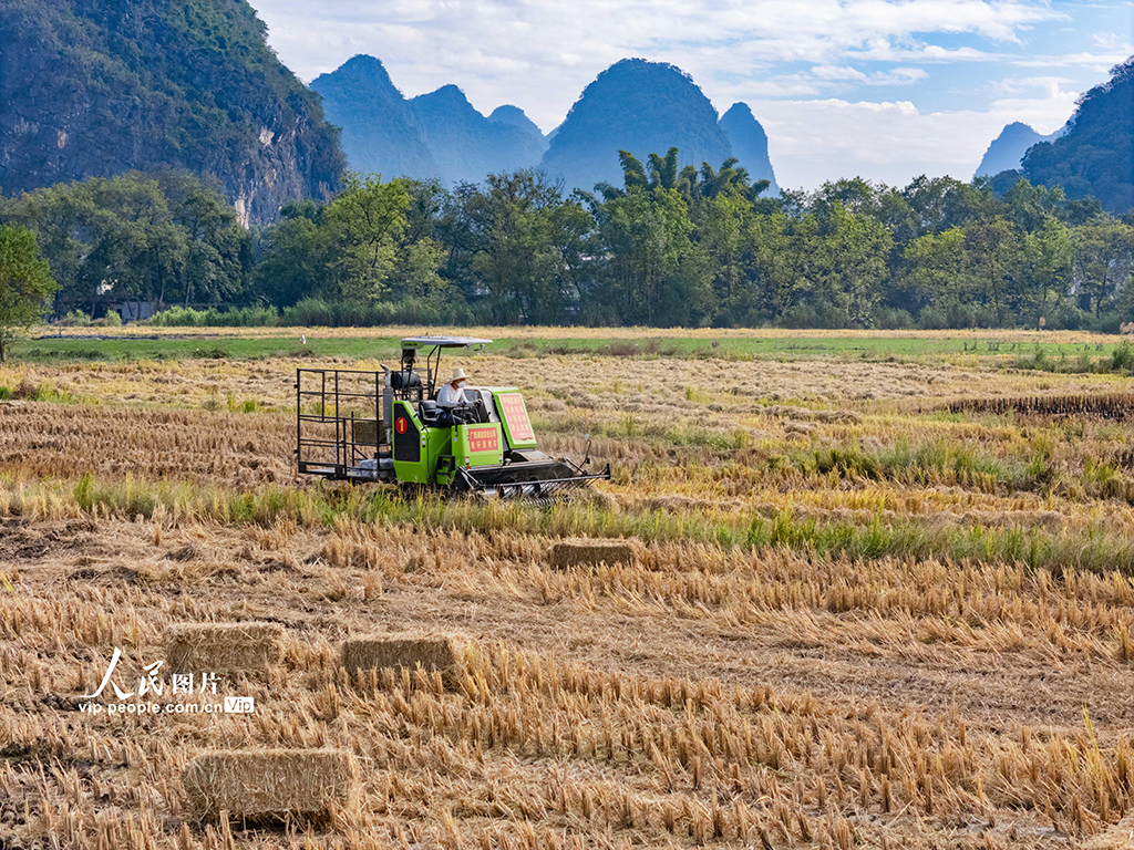 广西贺州:秸秆回收 变废为宝【5】