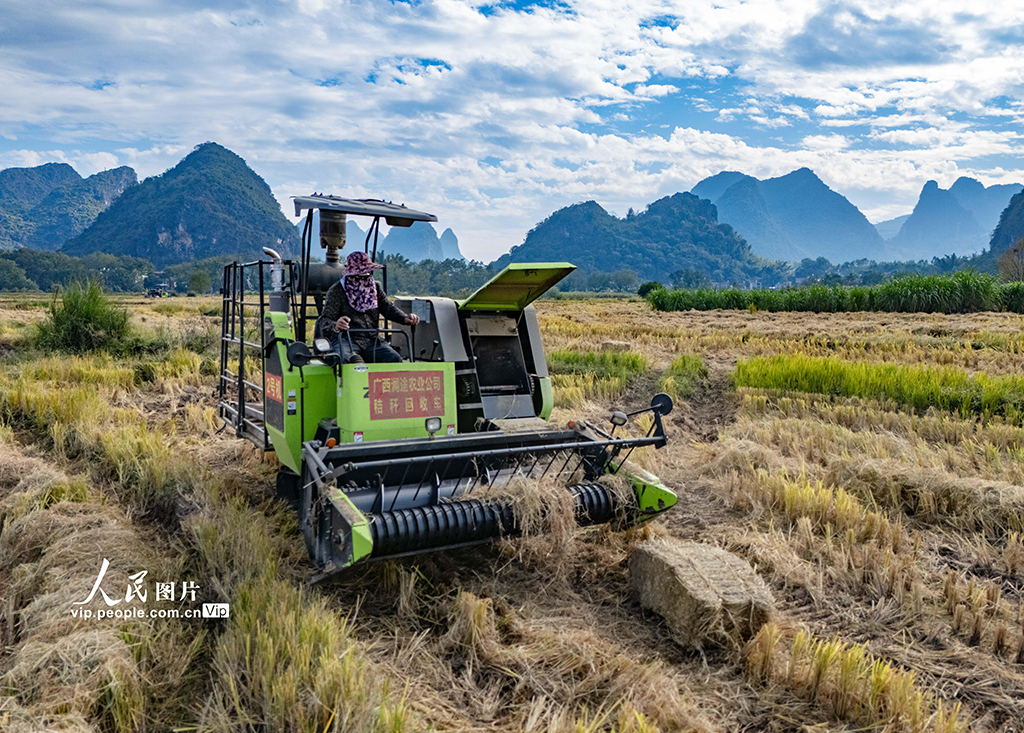 广西贺州：秸秆回收 变废为宝【6】
