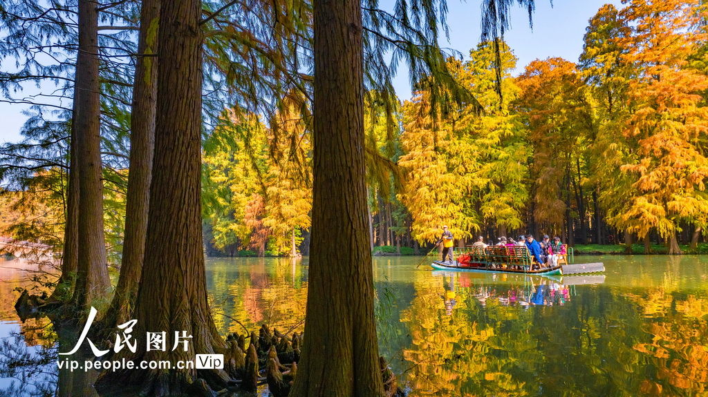 江苏兴化：湿地公园冬景如画【2】