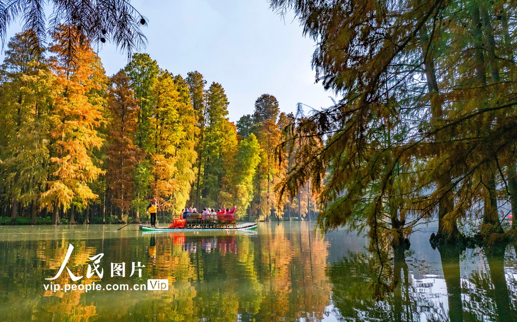 江苏兴化:湿地公园冬景如画【3】