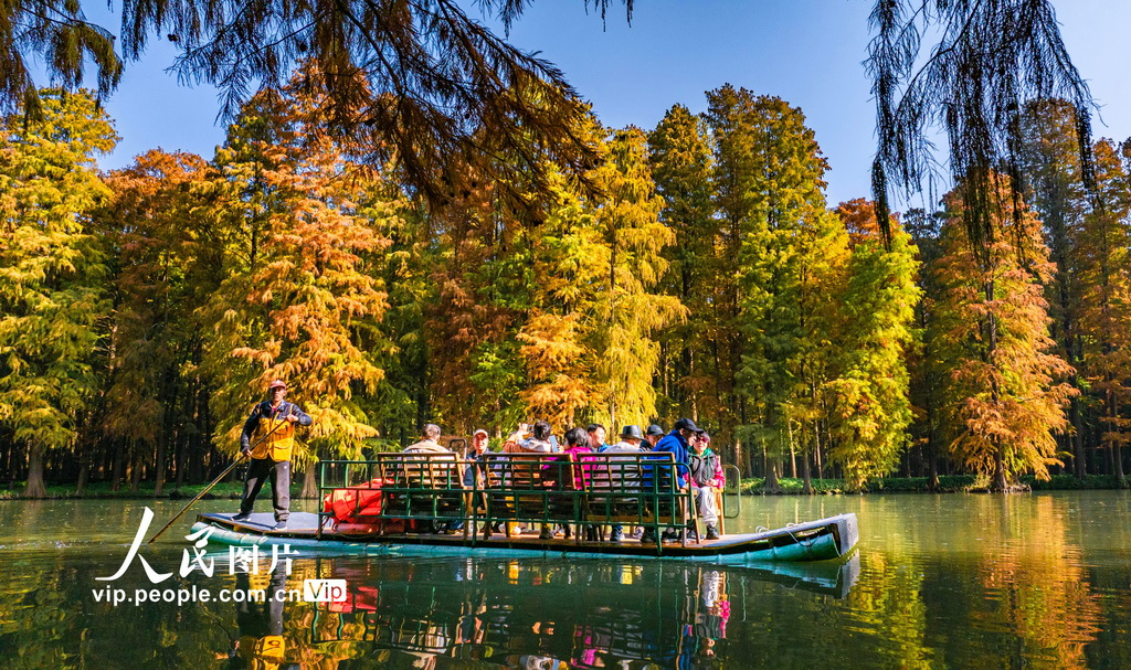 江蘇興化：濕地公園冬景如畫【6】