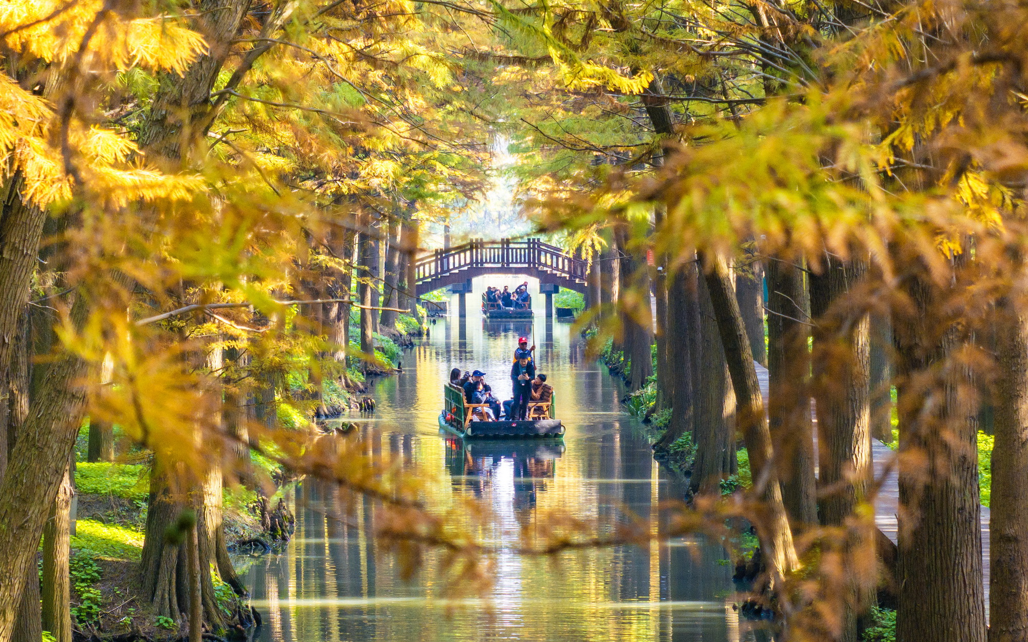 湿地公园冬景如画