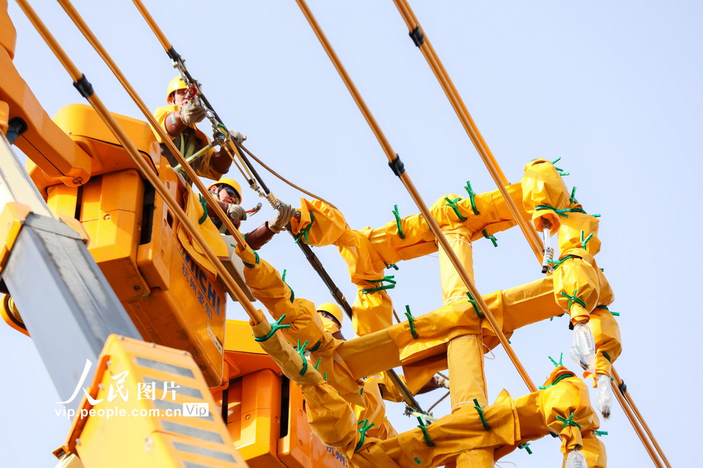 浙江德清：故障处置“加速度” 供电可靠“稳度冬”【3】