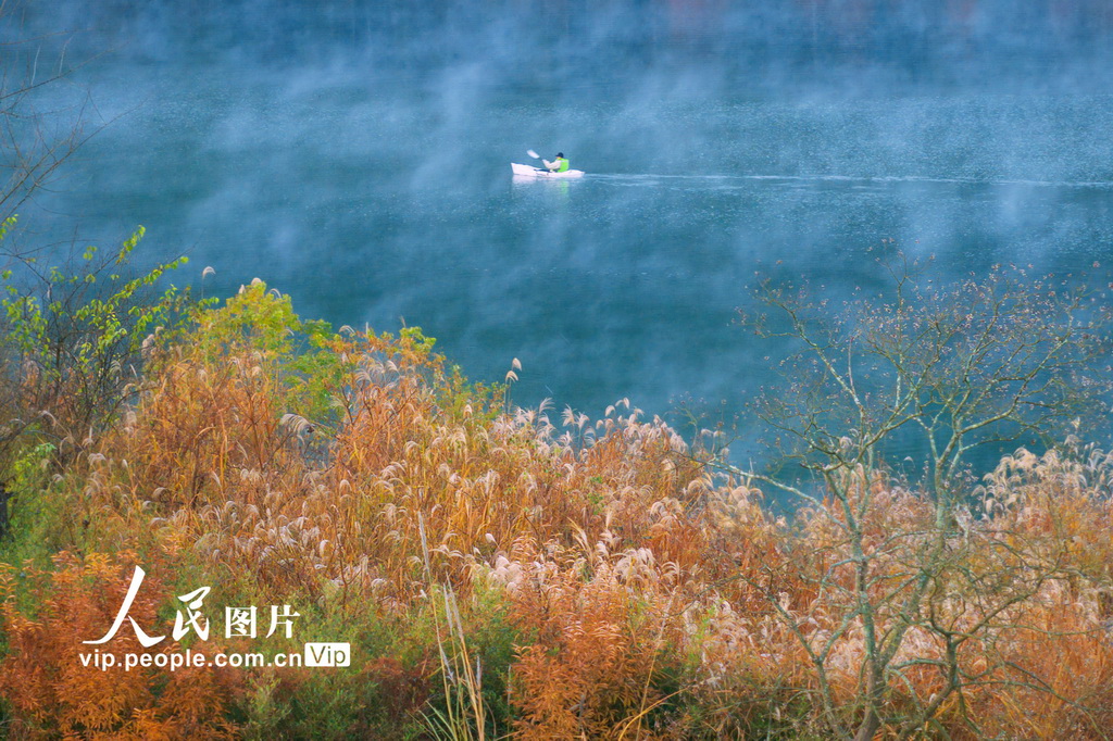 安徽宁国:落羽杉湿地公园晨雾缭绕【3】