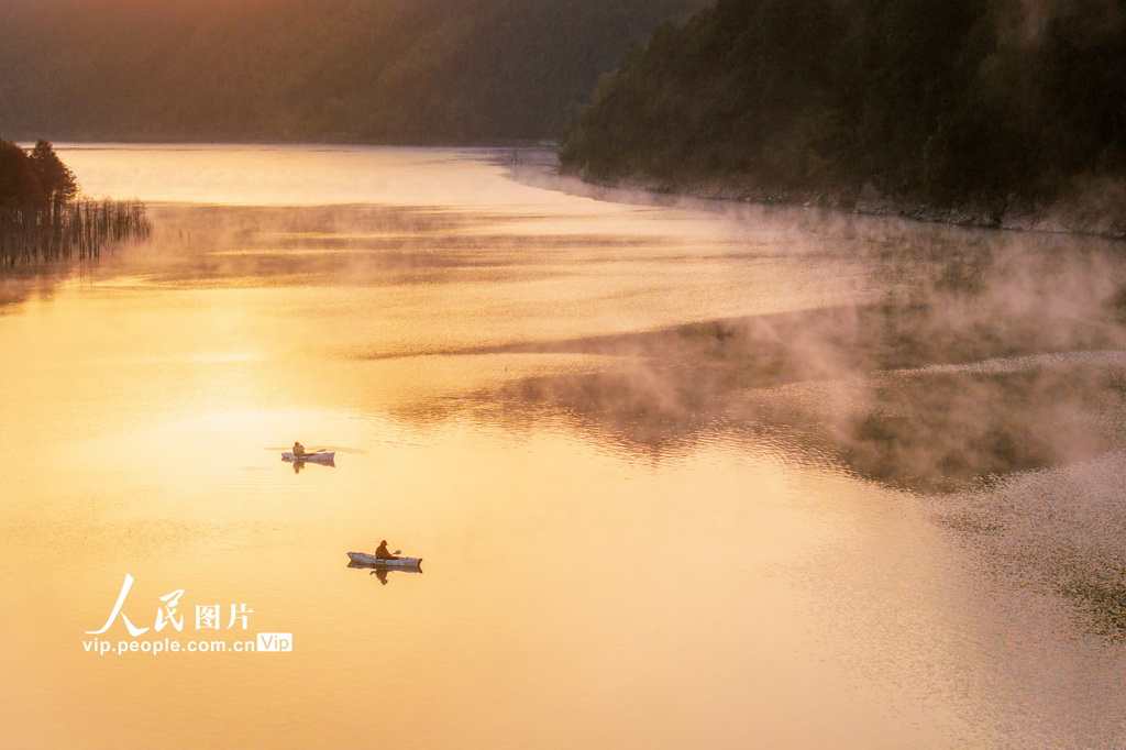 安徽宁国：落羽杉湿地公园晨雾缭绕【4】