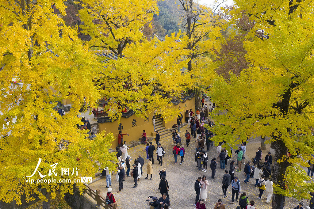 浙江长兴：古寺披金装 游人打卡热【2】