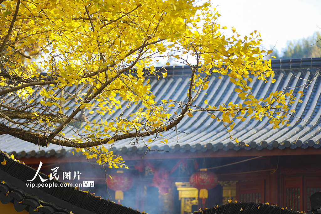 浙江长兴：古寺披金装 游人打卡热【3】