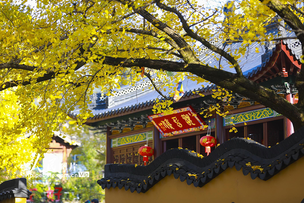 浙江长兴：古寺披金装 游人打卡热【4】