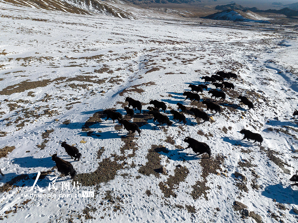 甘肃阿克塞：秘境深处的哈尔腾草原【2】