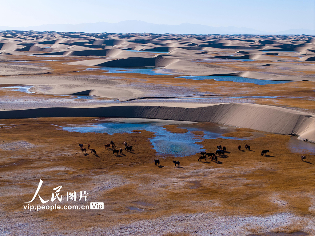 甘肃阿克塞：秘境深处的哈尔腾草原【8】