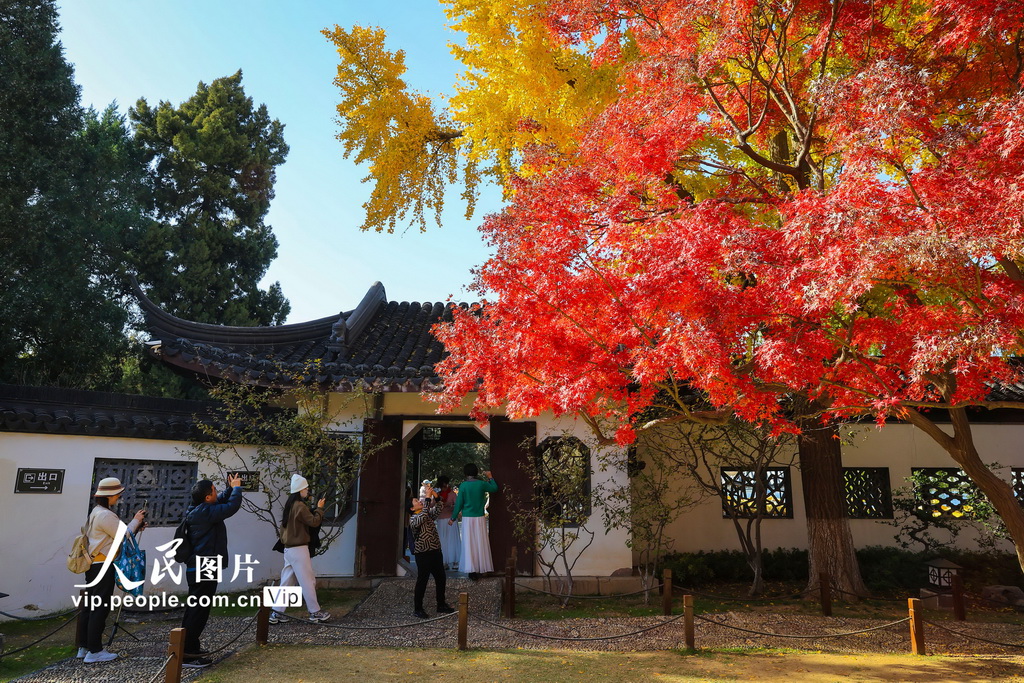 2025年11月28日，游客在南京莫愁湖公園賞景游玩。