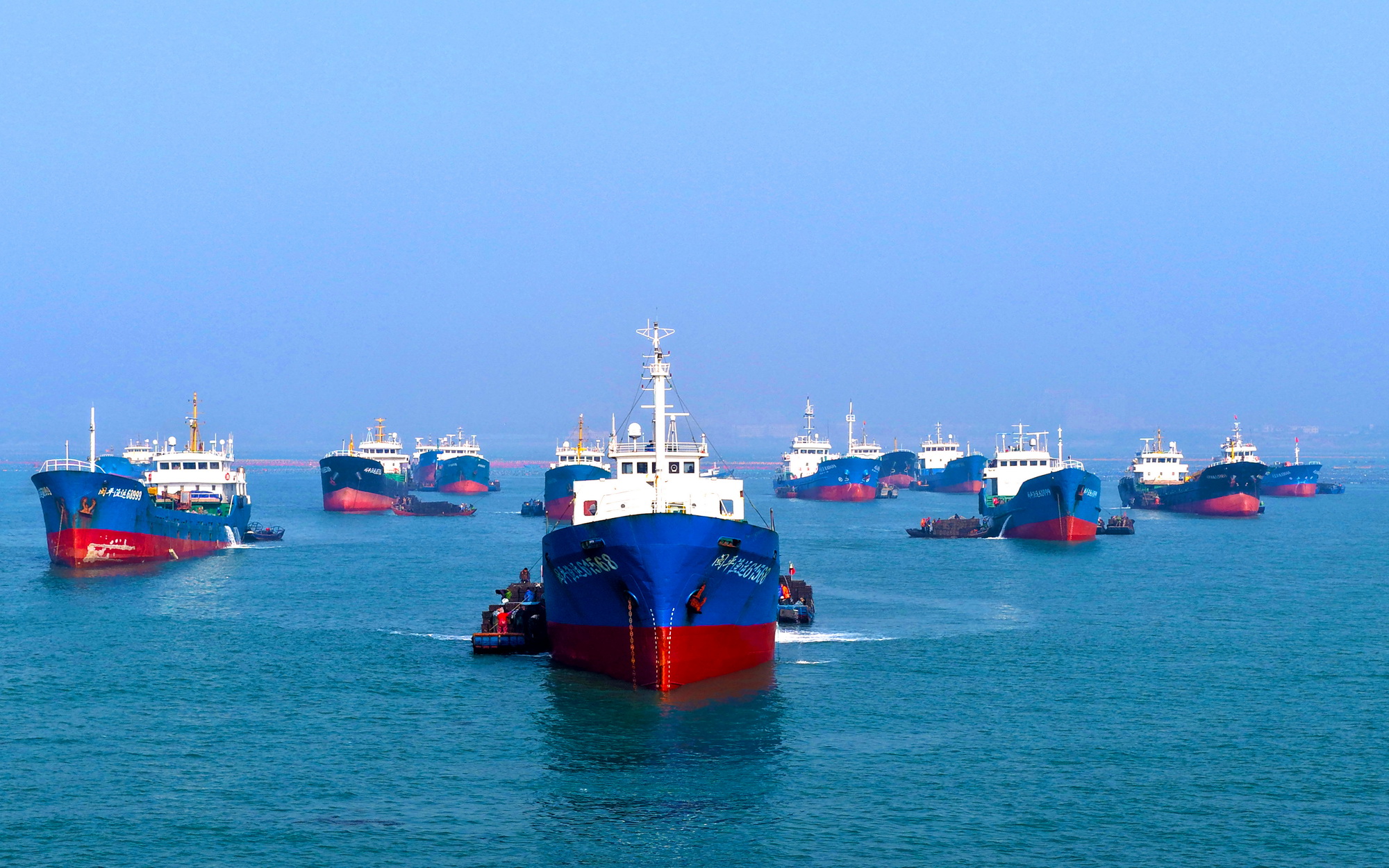 山东荣成：鲍鱼苗“南迁”