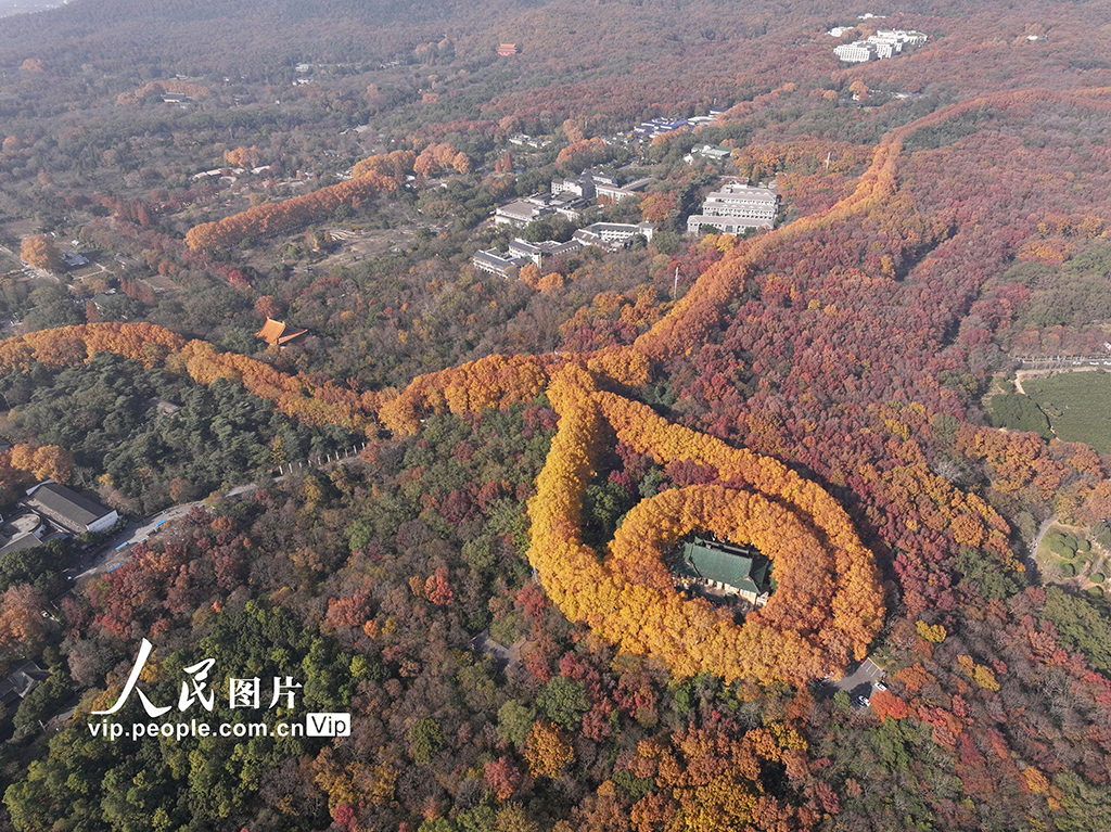 江苏南京：美龄宫宛如金色项链上的宝石【4】