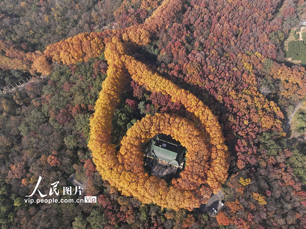 江苏南京：美龄宫宛如金色项链上的宝石【3】