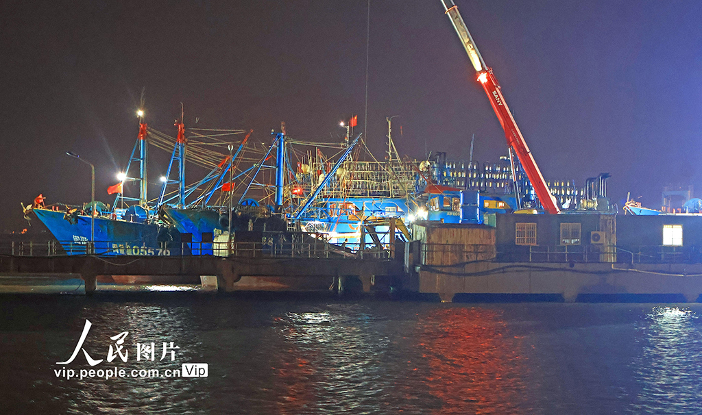 浙江玉環：冬捕豐收魚滿倉【3】