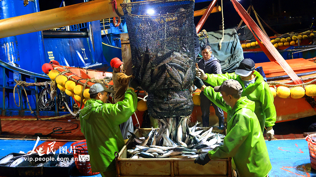 浙江玉環：冬捕豐收魚滿倉【8】