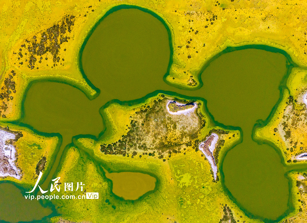 山西运城：冬日盐湖色彩斑斓【5】