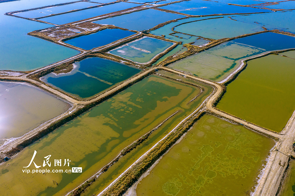 山西運城：冬日鹽湖色彩斑斕【6】