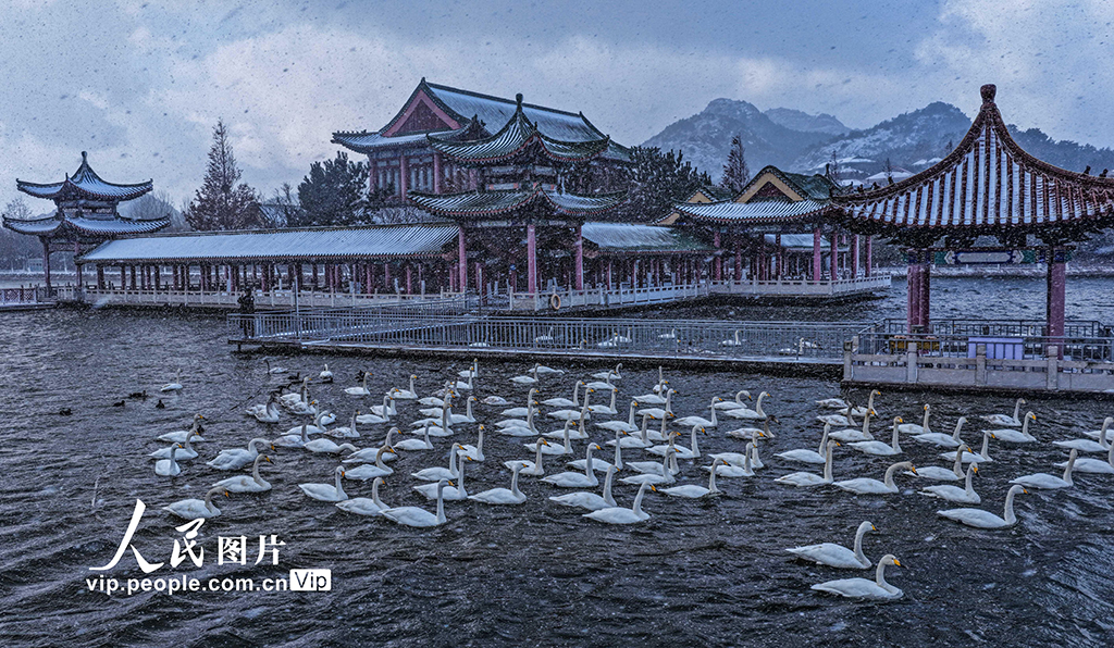 山东荣成：冰雪为墨 冬景如画【5】