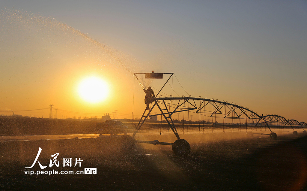 山东广饶：浇灌冬小麦