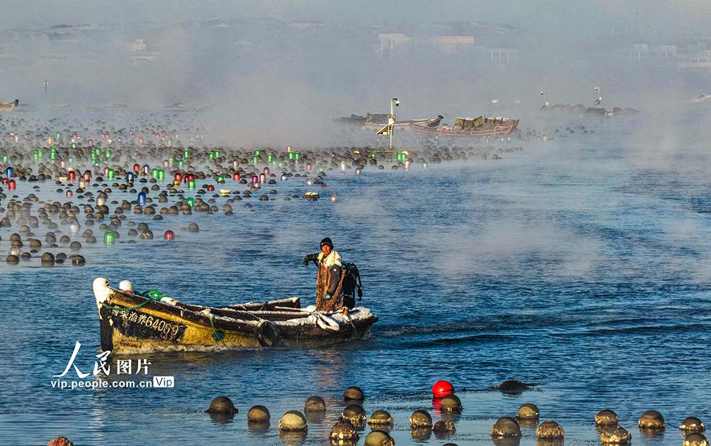 山東榮成:愛倫灣海域現“海浩”景觀【3】