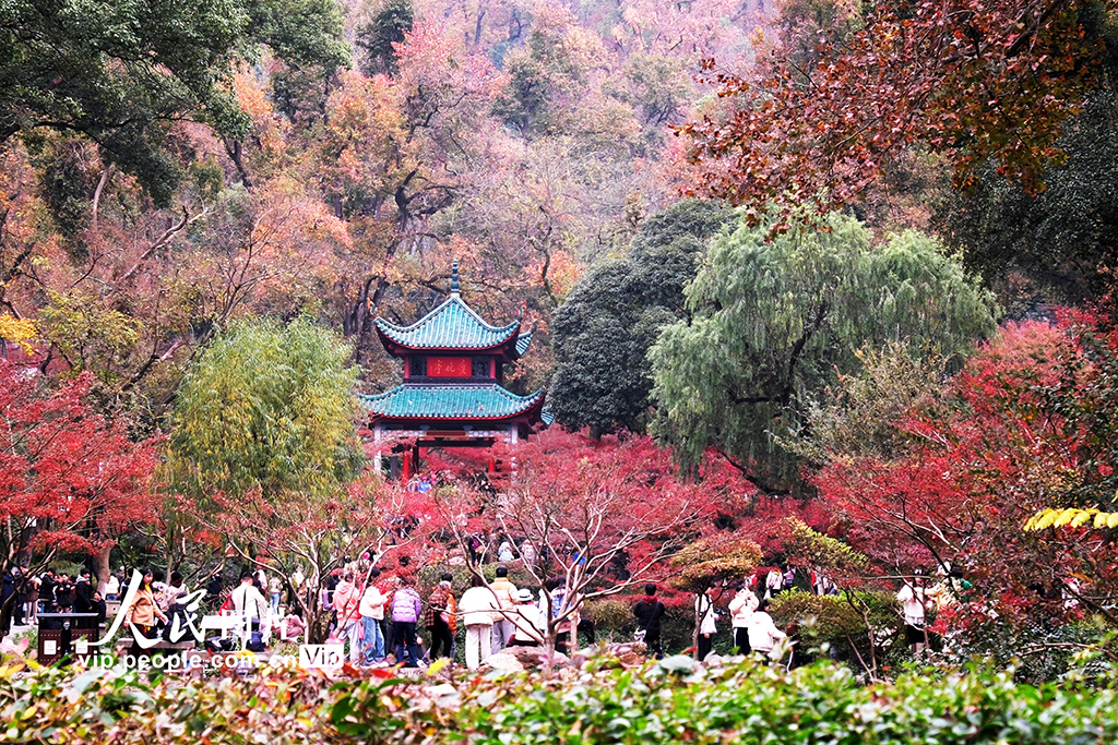 湖南长沙：爱晚亭赏枫【3】