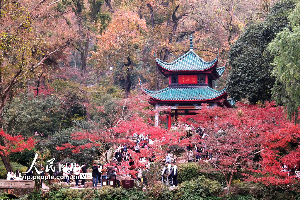 湖南长沙：爱晚亭赏枫