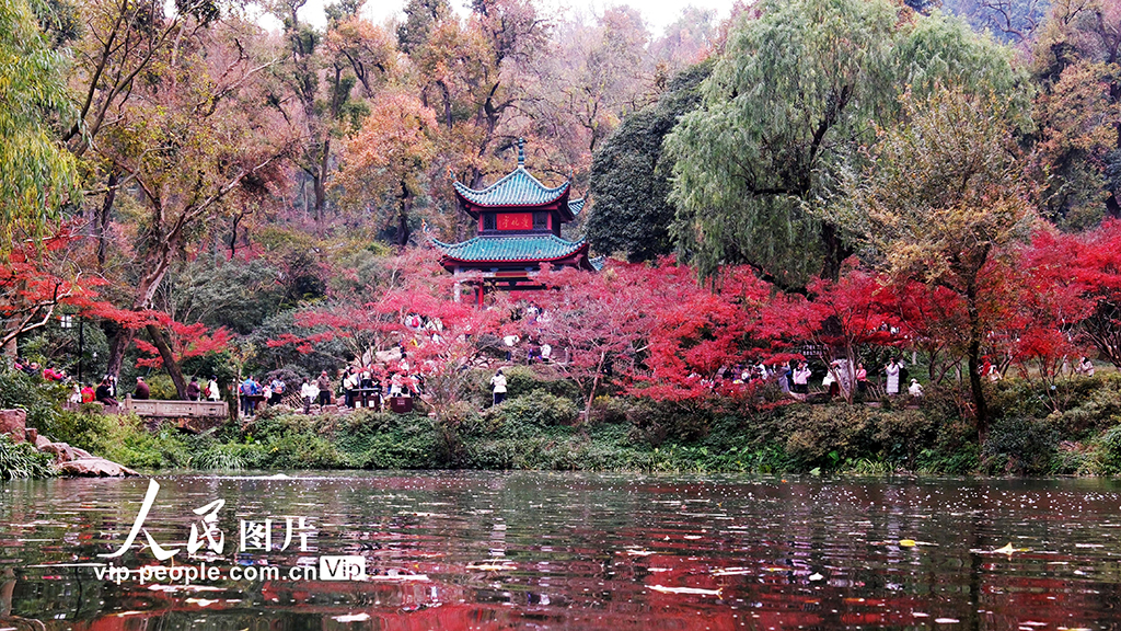 湖南长沙：爱晚亭赏枫【5】