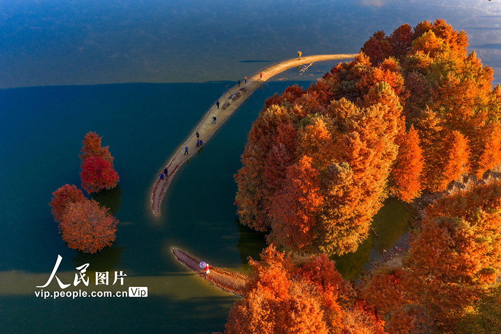 浙江绍兴:层林尽染【4】