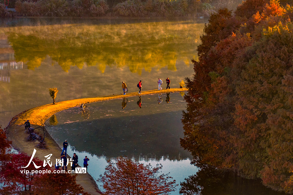 浙江绍兴:层林尽染【5】