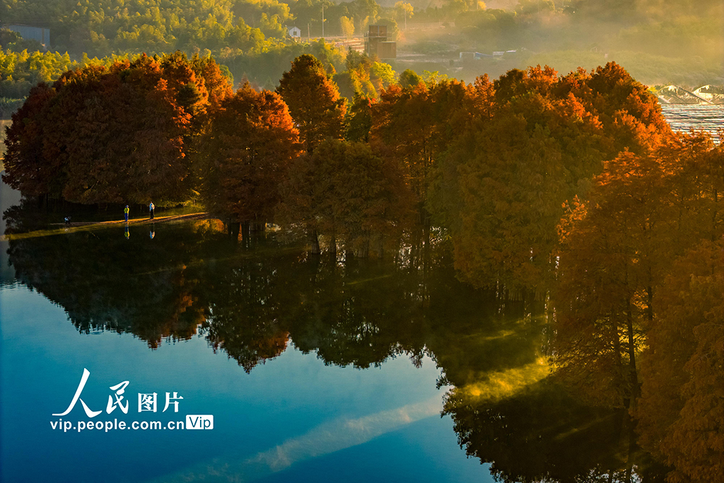 浙江绍兴:层林尽染【3】