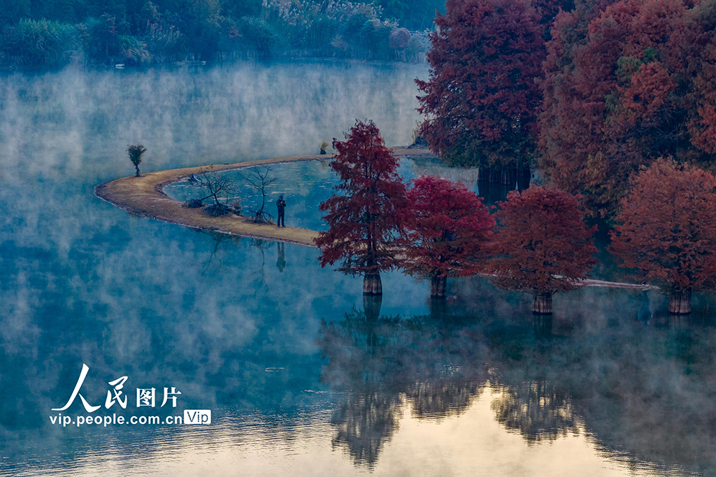 浙江绍兴：层林尽染