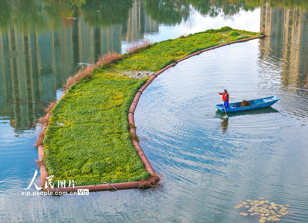安徽芜湖：河道清漂 守护碧水