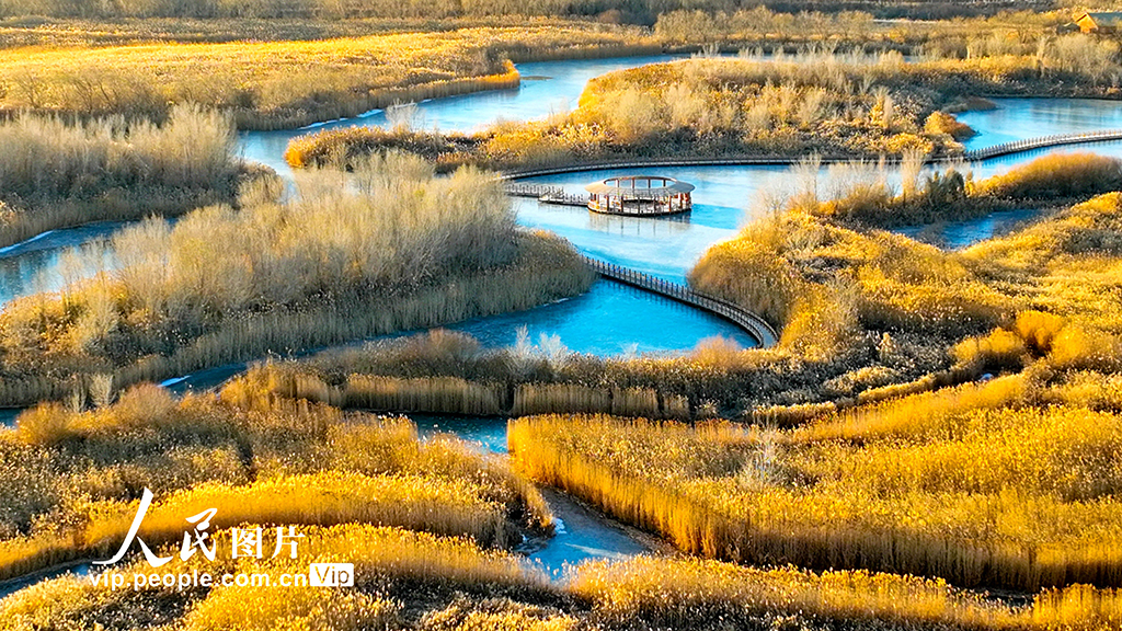 甘肅張掖：濕地披“金” 碧水為鏡【4】