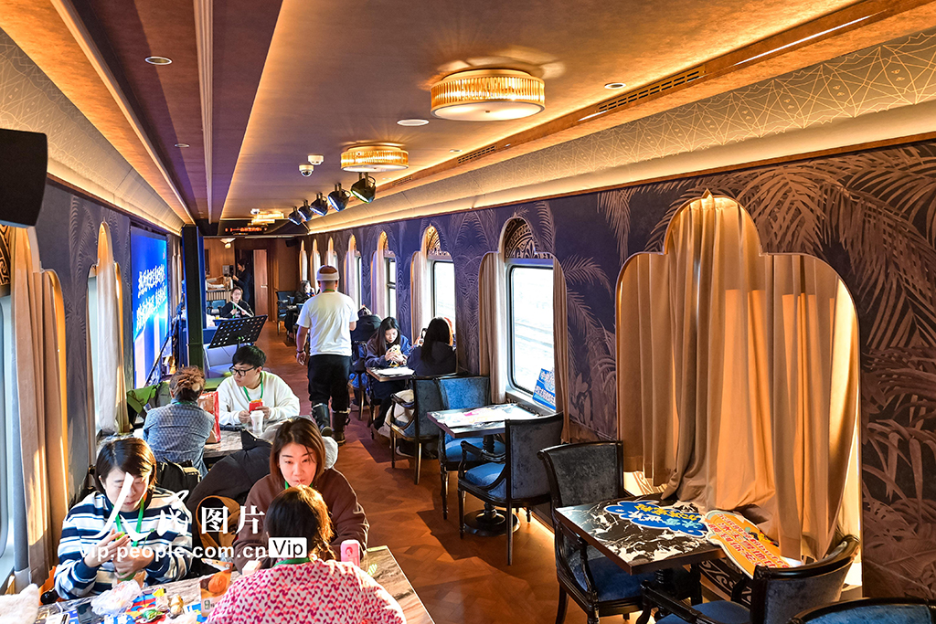 黑龍江：“伊春號”旅游專列試運行【4】