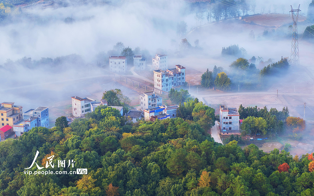 湖南嘉禾：冬日晨曦美如画【4】