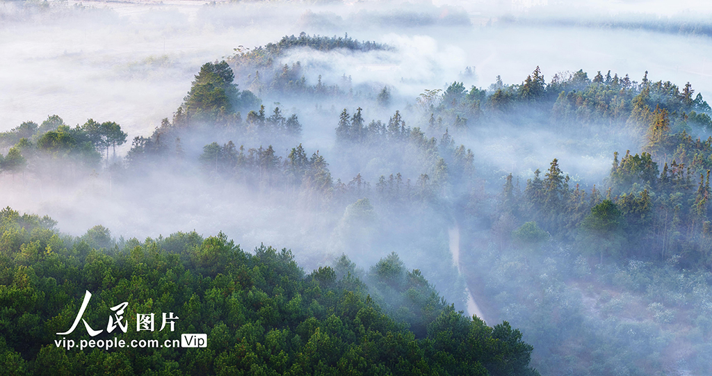 湖南嘉禾:冬日晨曦美如画【6】