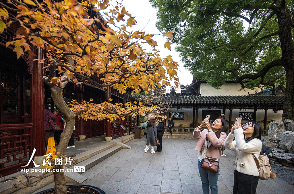 上海：豫園色彩斑斕迎客來【5】