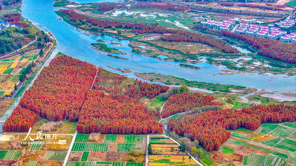 浙江淳安：武强溪生态湿地五彩斑斓