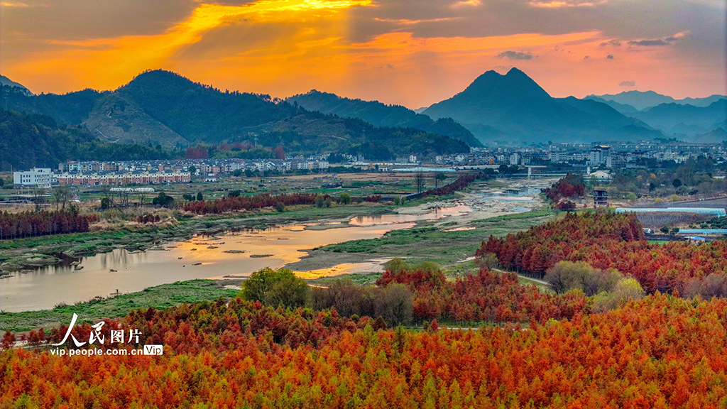 浙江淳安：武強溪生態濕地五彩斑斕【7】