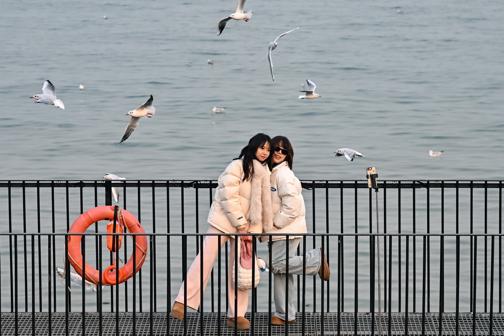游人跟飞翔的海鸥合影(12月10日摄)。
