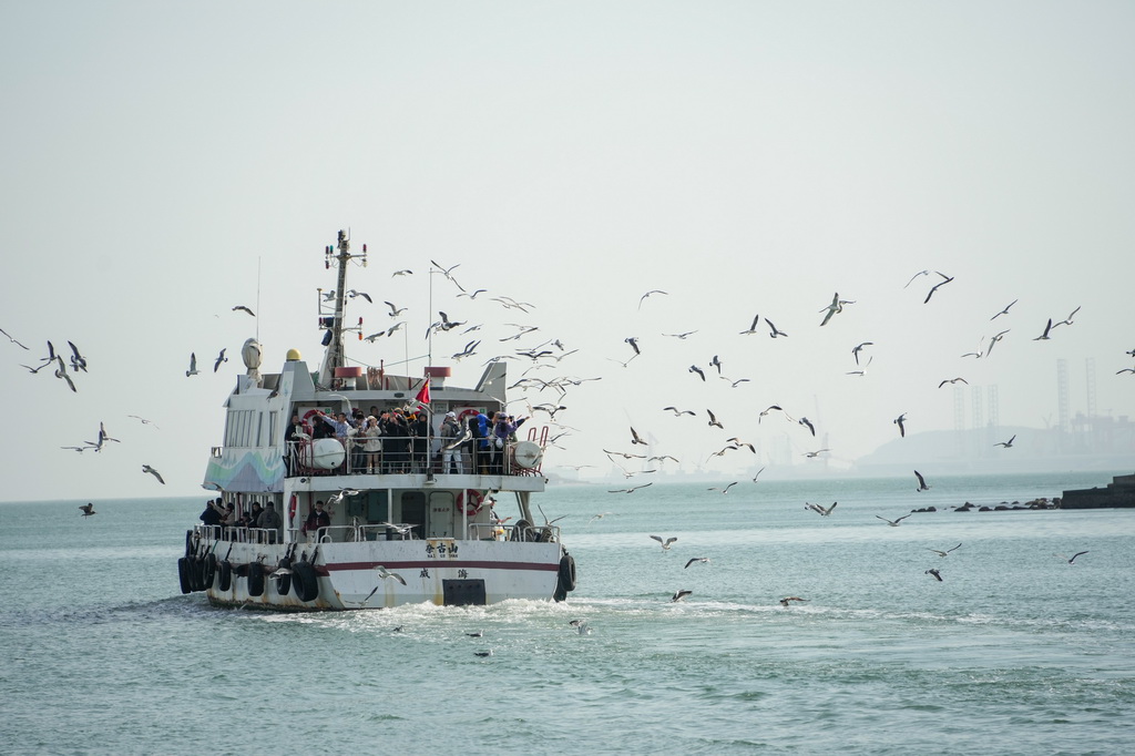 12月10日,游客在威海市乘坐海上游船。